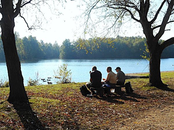 Daneshill Lakes